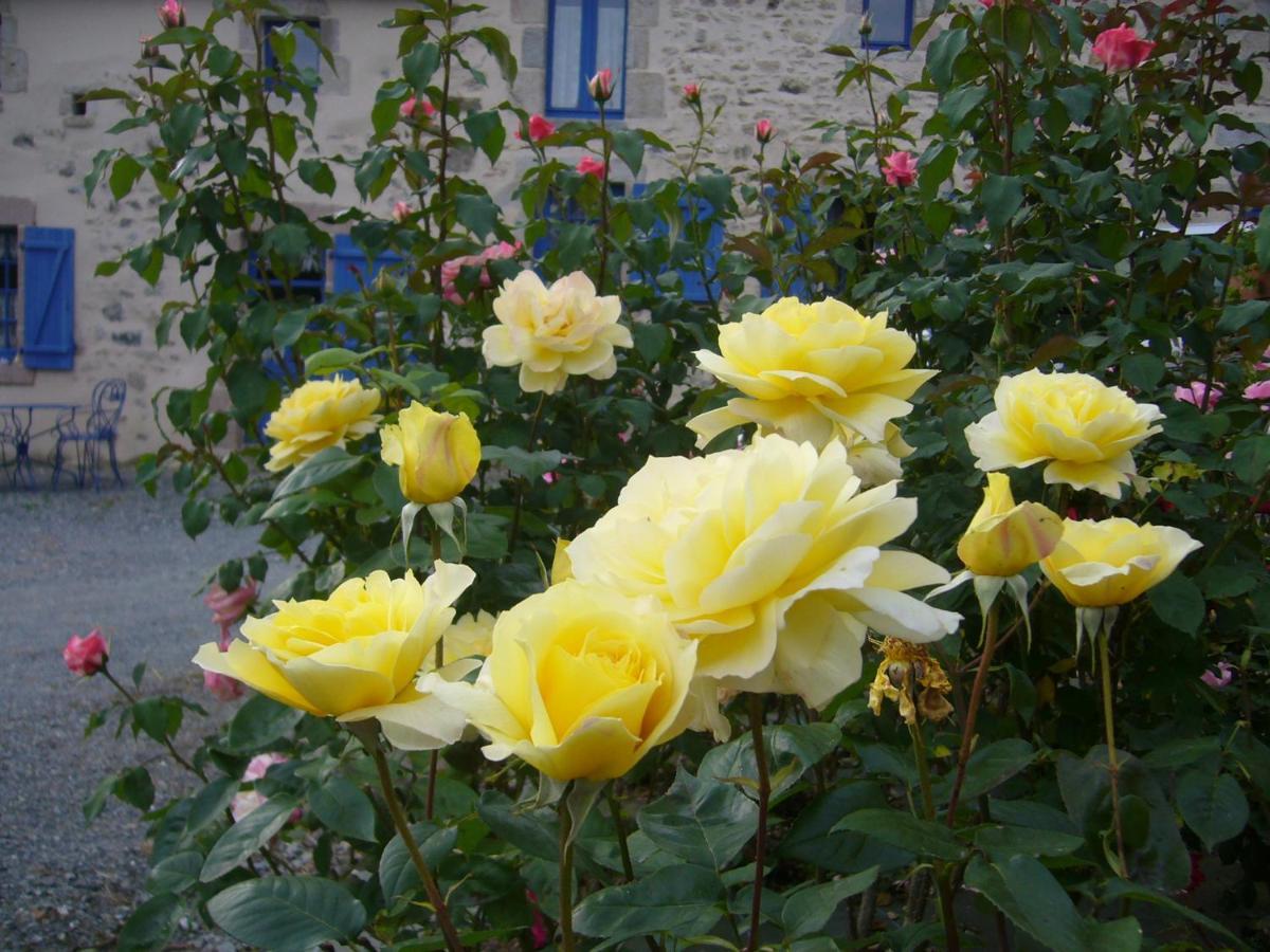 La Petite Vallee La Chapelle-Largeau Ngoại thất bức ảnh